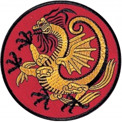 Nášivka DANRHO Drak